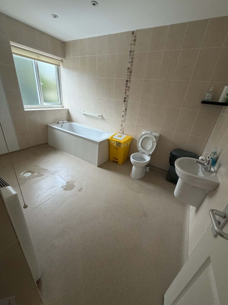 Gallery Image 8