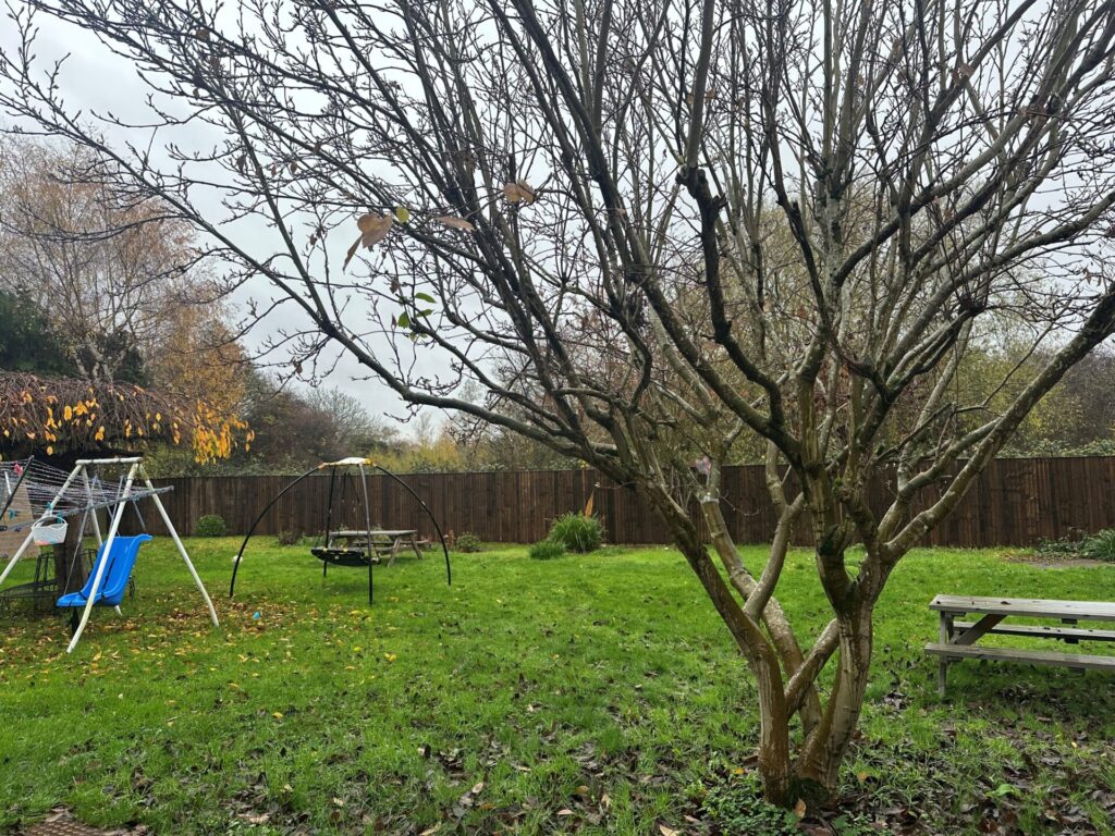 Gallery Image 9